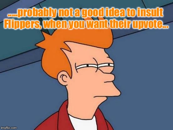 Futurama Fry Meme | .....probably not a good idea to insult Flippers, when you want their upvote... | image tagged in memes,futurama fry | made w/ Imgflip meme maker