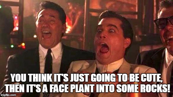 Goodfellas Laughing | YOU THINK IT'S JUST GOING TO BE CUTE, THEN IT'S A FACE PLANT INTO SOME ROCKS! | image tagged in goodfellas laughing | made w/ Imgflip meme maker