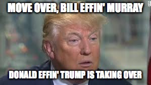 Donald Effin' Trump | MOVE OVER, BILL EFFIN' MURRAY; DONALD EFFIN' TRUMP IS TAKING OVER | image tagged in trump,donald trump | made w/ Imgflip meme maker