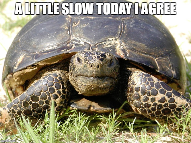 A LITTLE SLOW TODAY I AGREE | made w/ Imgflip meme maker