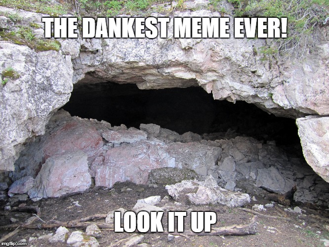 The Definition of Dank | THE DANKEST MEME EVER! LOOK IT UP | image tagged in dank,cave,funny,meme | made w/ Imgflip meme maker