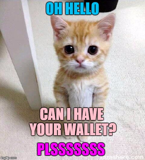 Cute Cat | OH HELLO; CAN I HAVE YOUR WALLET? PLSSSSSSS | image tagged in memes,cute cat | made w/ Imgflip meme maker