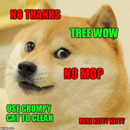 Doge Meme | NO THANKS TREE WOW NO MOP USE GRUMPY CAT TO CLEAN HERE KITTY KITTY | image tagged in memes,doge | made w/ Imgflip meme maker
