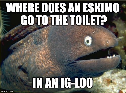 Dash's 17 days to Christmas - what, Eskimo...Christmas, it's Christmasy yeh?:)) | WHERE DOES AN ESKIMO GO TO THE TOILET? IN AN IG-LOO | image tagged in bad joke eel,christmas | made w/ Imgflip meme maker