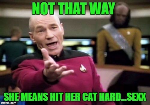 Picard Wtf Meme | NOT THAT WAY SHE MEANS HIT HER CAT HARD...SEXX | image tagged in memes,picard wtf | made w/ Imgflip meme maker