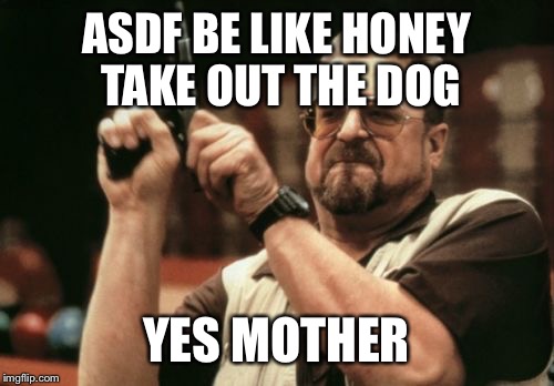 Am I The Only One Around Here Meme | ASDF BE LIKE HONEY TAKE OUT THE DOG; YES MOTHER | image tagged in memes,am i the only one around here | made w/ Imgflip meme maker
