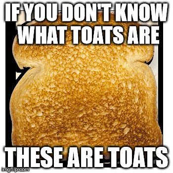 TOATS | IF YOU DON'T KNOW WHAT TOATS ARE; THESE ARE TOATS | image tagged in toats | made w/ Imgflip meme maker