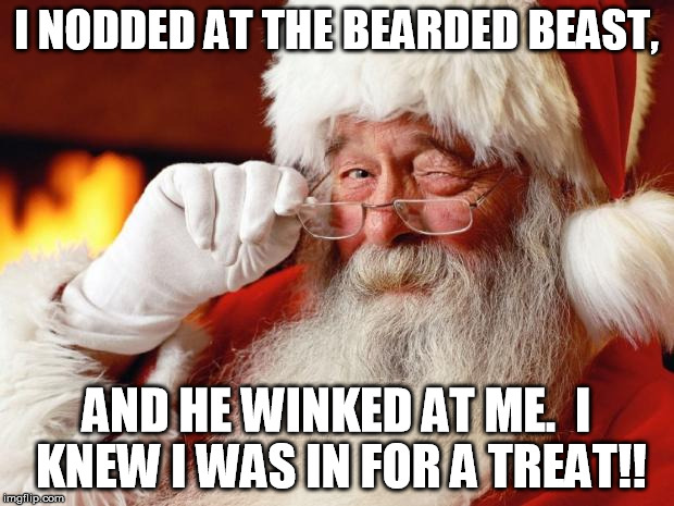 Santa Claus | I NODDED AT THE BEARDED BEAST, AND HE WINKED AT ME.  I KNEW I WAS IN FOR A TREAT!! | image tagged in santa claus | made w/ Imgflip meme maker