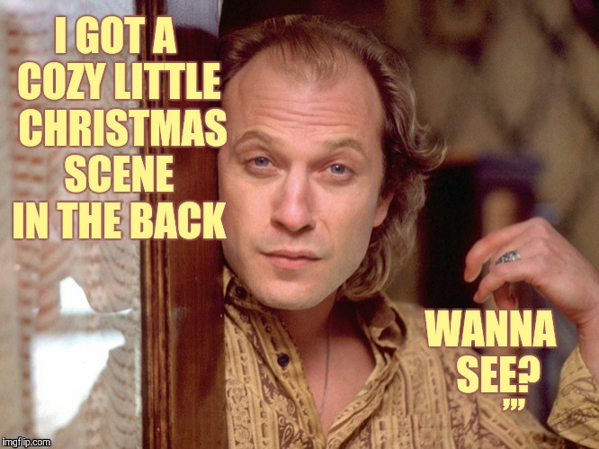 Buffalo Bill Invites You In,,, | I GOT A COZY LITTLE  CHRISTMAS SCENE IN THE BACK; WANNA  SEE? ,,, | image tagged in buffalo bill invites you in meme,buffalo bill | made w/ Imgflip meme maker