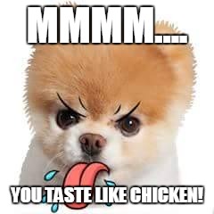 MMMM.... YOU TASTE LIKE CHICKEN! | image tagged in dog kiss | made w/ Imgflip meme maker
