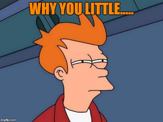 Futurama Fry Meme | WHY YOU LITTLE..... | image tagged in memes,futurama fry | made w/ Imgflip meme maker