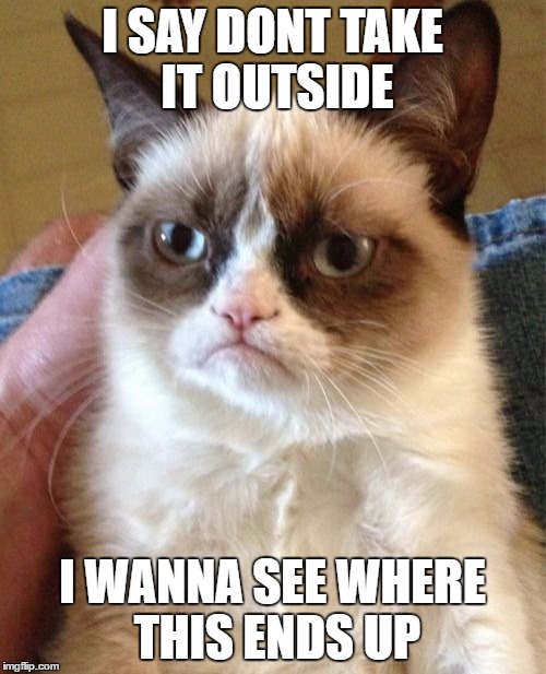 Grumpy Cat | I SAY DONT TAKE IT OUTSIDE; I WANNA SEE WHERE THIS ENDS UP | image tagged in memes,grumpy cat | made w/ Imgflip meme maker