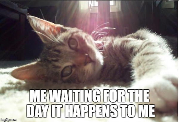 Clawless Kitty | ME WAITING FOR THE DAY IT HAPPENS TO ME | image tagged in clawless kitty | made w/ Imgflip meme maker