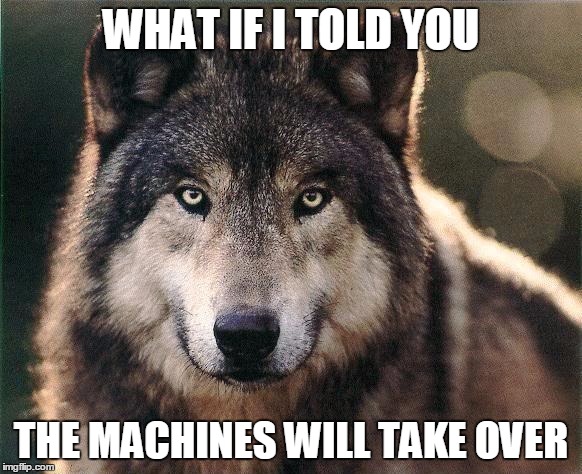 Wolf Serious Look MK Ultra | WHAT IF I TOLD YOU THE MACHINES WILL TAKE OVER | image tagged in wolf serious look mk ultra | made w/ Imgflip meme maker