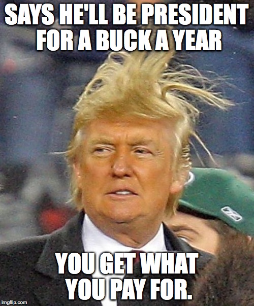 Donald Trumph hair | SAYS HE'LL BE PRESIDENT FOR A BUCK A YEAR; YOU GET WHAT YOU PAY FOR. | image tagged in donald trumph hair | made w/ Imgflip meme maker