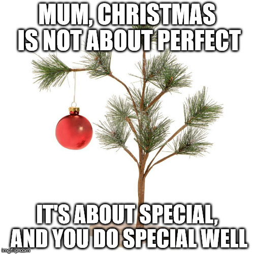 Quote from a Friends Son tonight | MUM, CHRISTMAS IS NOT ABOUT PERFECT; IT'S ABOUT SPECIAL, AND YOU DO SPECIAL WELL | image tagged in xmas | made w/ Imgflip meme maker