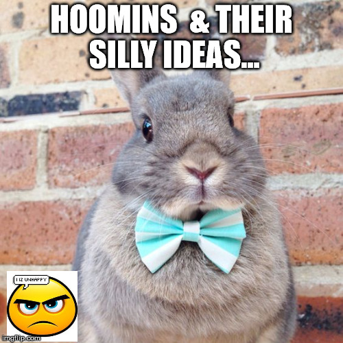 Ideas | HOOMINS  & THEIR SILLY IDEAS... | image tagged in memes | made w/ Imgflip meme maker