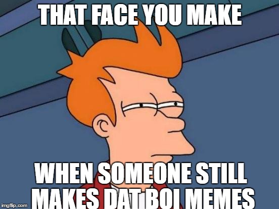 Futurama Fry | THAT FACE YOU MAKE; WHEN SOMEONE STILL MAKES DAT BOI MEMES | image tagged in memes,futurama fry | made w/ Imgflip meme maker