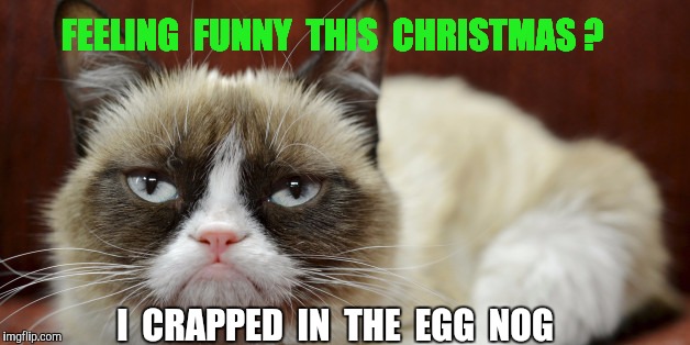 Never was a big eggnog fan. ... | FEELING  FUNNY  THIS  CHRISTMAS ? I  CRAPPED  IN  THE  EGG  NOG | image tagged in eggnog,grumpy cat christmas,grumpy cat | made w/ Imgflip meme maker
