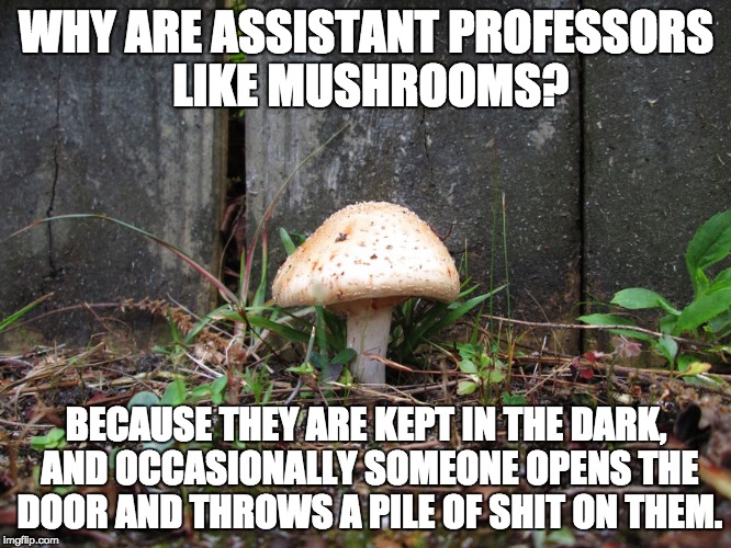 mushroom | WHY ARE ASSISTANT PROFESSORS LIKE MUSHROOMS? BECAUSE THEY ARE KEPT IN THE DARK, AND OCCASIONALLY SOMEONE OPENS THE DOOR AND THROWS A PILE OF SHIT ON THEM. | image tagged in mushroom | made w/ Imgflip meme maker