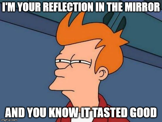 Futurama Fry Reverse | I'M YOUR REFLECTION IN THE MIRROR AND YOU KNOW IT TASTED GOOD | image tagged in futurama fry reverse | made w/ Imgflip meme maker