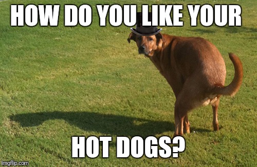 Dog Pooping | HOW DO YOU LIKE YOUR; HOT DOGS? | image tagged in dog pooping | made w/ Imgflip meme maker