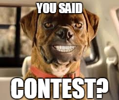 Contest | YOU SAID; CONTEST? | image tagged in school | made w/ Imgflip meme maker