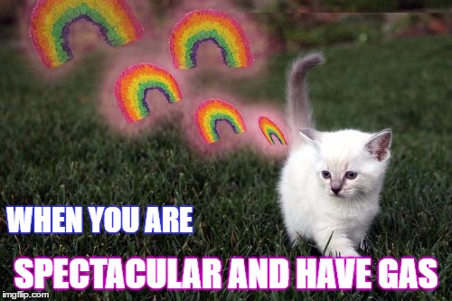 kitten farting rainbows | WHEN YOU ARE; SPECTACULAR AND HAVE GAS | image tagged in kitten farting rainbows | made w/ Imgflip meme maker