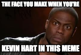 Title of the 'Kevin hart the hell' meme | THE FACE YOU MAKE WHEN YOU'RE; KEVIN HART IN THIS MEME | image tagged in memes,kevin hart the hell,tag,another tag,one more tag,4th tag | made w/ Imgflip meme maker