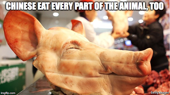 CHINESE EAT EVERY PART OF THE ANIMAL, TOO | made w/ Imgflip meme maker