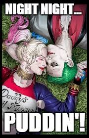 Harely Quinn | NIGHT NIGHT... PUDDIN'! | image tagged in harely quinn | made w/ Imgflip meme maker