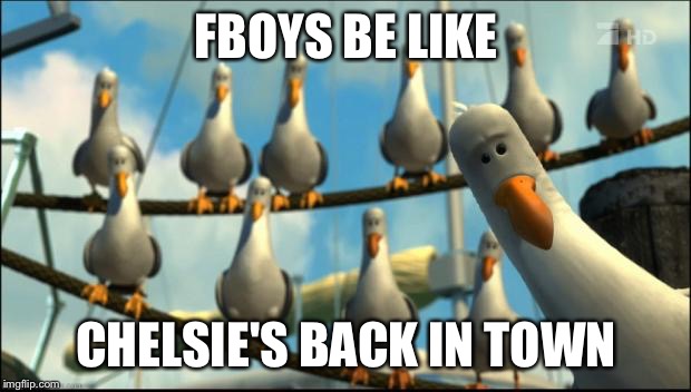 Nemo Seagulls Mine | FBOYS BE LIKE; CHELSIE'S BACK IN TOWN | image tagged in nemo seagulls mine | made w/ Imgflip meme maker