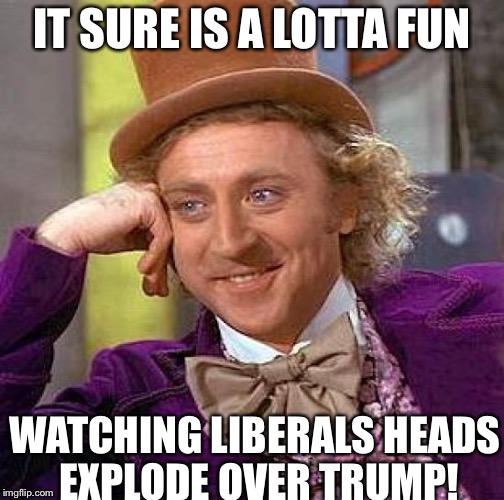 Creepy Condescending Wonka Meme | IT SURE IS A LOTTA FUN; WATCHING LIBERALS HEADS EXPLODE OVER TRUMP! | image tagged in memes,creepy condescending wonka | made w/ Imgflip meme maker