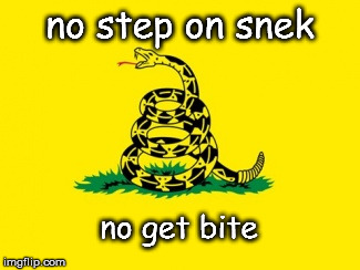 Gadsden Flag | no step on snek; no get bite | image tagged in gadsden flag | made w/ Imgflip meme maker