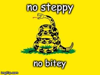 Gadsden Flag | no steppy; no bitey | image tagged in gadsden flag | made w/ Imgflip meme maker
