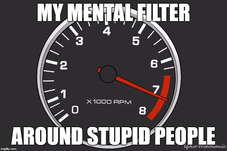 mental filter | MY MENTAL FILTER; AROUND STUPID PEOPLE | image tagged in stupid people | made w/ Imgflip meme maker