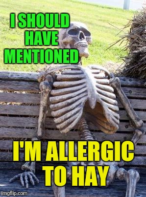 Hay! Don't leave me here!  | I SHOULD HAVE MENTIONED; I'M ALLERGIC TO HAY | image tagged in memes,waiting skeleton,allergies,hay | made w/ Imgflip meme maker