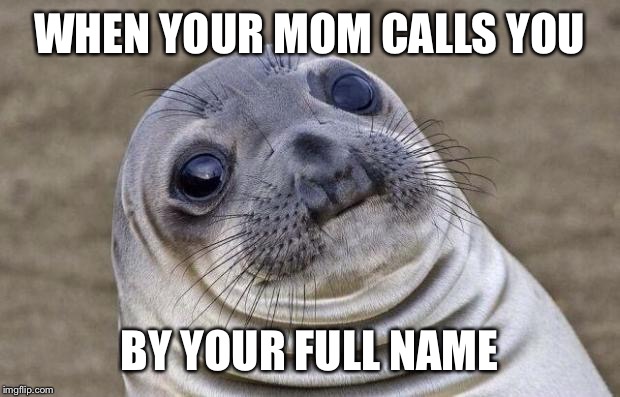 Awkward Moment Sealion Meme | WHEN YOUR MOM CALLS YOU; BY YOUR FULL NAME | image tagged in memes,awkward moment sealion | made w/ Imgflip meme maker