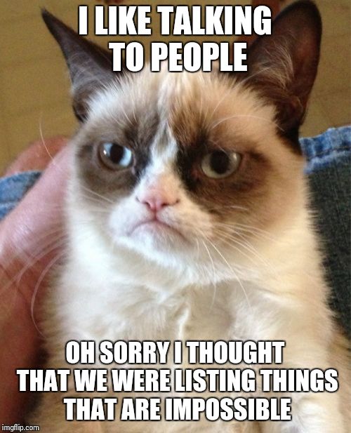 Grumpy Cat | I LIKE TALKING TO PEOPLE; OH SORRY I THOUGHT THAT WE WERE LISTING THINGS THAT ARE IMPOSSIBLE | image tagged in memes,grumpy cat | made w/ Imgflip meme maker