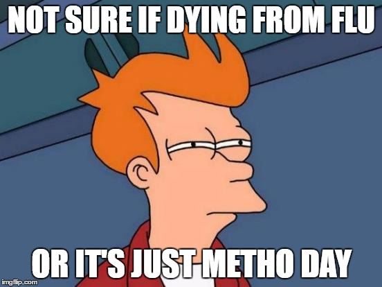 Futurama Fry Meme | NOT SURE IF DYING FROM FLU; OR IT'S JUST METHO DAY | image tagged in memes,futurama fry | made w/ Imgflip meme maker