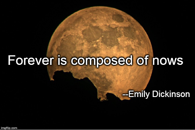 Forever is Composed of Nows | Forever is composed of nows; --Emily Dickinson | image tagged in forever,eternity,promises,responsibility,determination,now | made w/ Imgflip meme maker