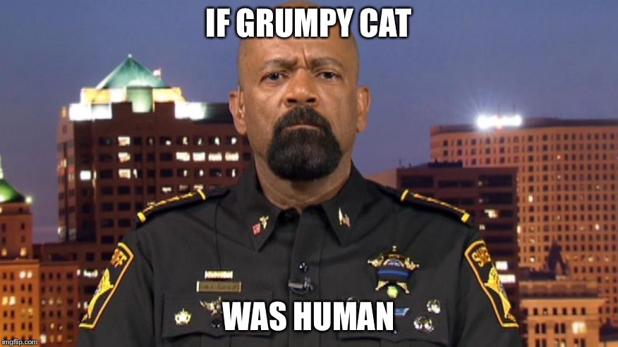 fake news | IF GRUMPY CAT; WAS HUMAN | image tagged in fake news | made w/ Imgflip meme maker