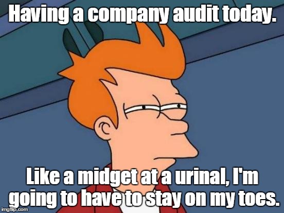 Futurama Fry Meme | Having a company audit today. Like a midget at a urinal, I'm going to have to stay on my toes. | image tagged in memes,futurama fry | made w/ Imgflip meme maker