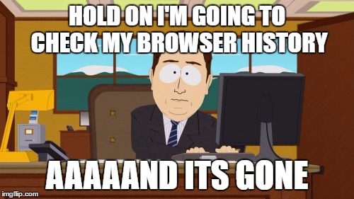 Aaaaand Its Gone Meme | HOLD ON I'M GOING TO CHECK MY BROWSER HISTORY; AAAAAND ITS GONE | image tagged in memes,aaaaand its gone | made w/ Imgflip meme maker