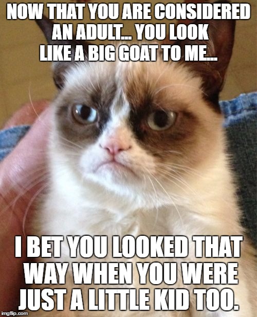 Grumpy Cat Meme | NOW THAT YOU ARE CONSIDERED AN ADULT... YOU LOOK LIKE A BIG GOAT TO ME... I BET YOU LOOKED THAT WAY WHEN YOU WERE JUST A LITTLE KID TOO. | image tagged in memes,grumpy cat | made w/ Imgflip meme maker