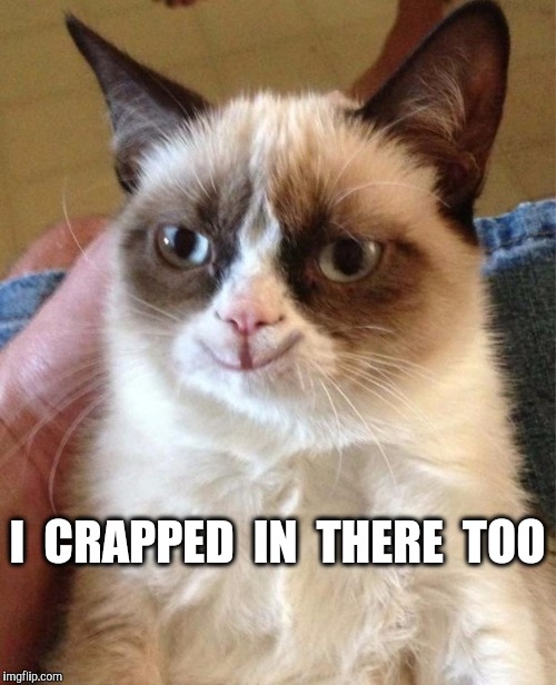 Happy grumpy cat | I  CRAPPED  IN  THERE  TOO | image tagged in happy grumpy cat | made w/ Imgflip meme maker