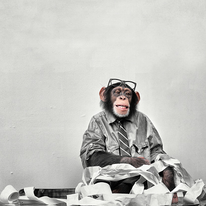 Monkey accountant Blank Meme Template