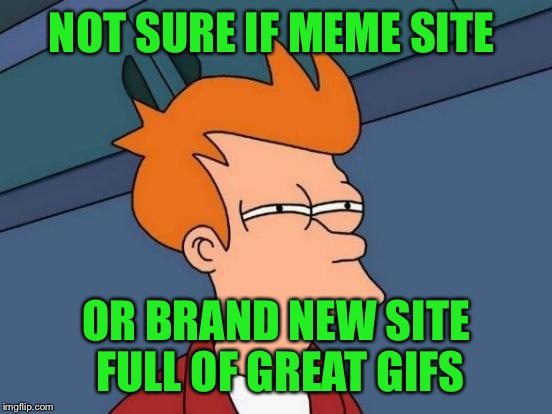 There are some great GIFs floating around this place lately!  | NOT SURE IF MEME SITE; OR BRAND NEW SITE FULL OF GREAT GIFS | image tagged in memes,futurama fry | made w/ Imgflip meme maker
