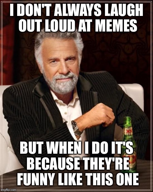 The Most Interesting Man In The World Meme | I DON'T ALWAYS LAUGH OUT LOUD AT MEMES BUT WHEN I DO IT'S BECAUSE THEY'RE FUNNY LIKE THIS ONE | image tagged in memes,the most interesting man in the world | made w/ Imgflip meme maker