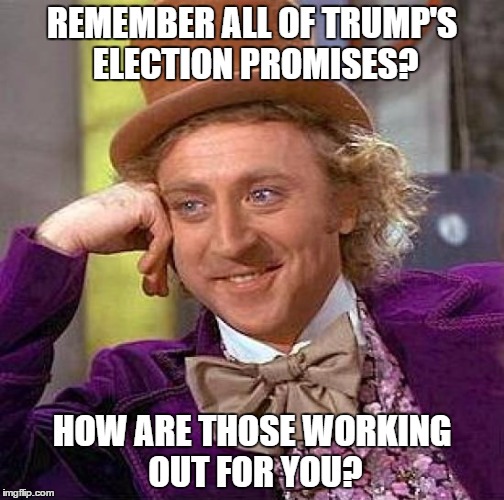 Creepy Condescending Wonka | REMEMBER ALL OF TRUMP'S ELECTION PROMISES? HOW ARE THOSE WORKING OUT FOR YOU? | image tagged in memes,creepy condescending wonka | made w/ Imgflip meme maker